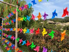 -北京西山国家森林公园