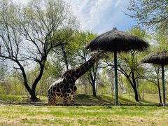 -北京野生动物园