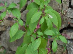 -东钱湖旅游度假区