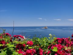 -养马岛旅游度假区