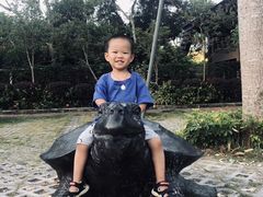 -广东惠东海龟国家级自然保护区