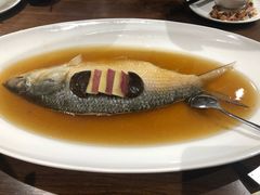 -乔家栅(襄阳南路店)