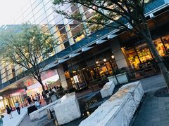 -上海浦东嘉里大酒店