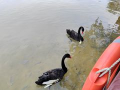 -广州白江湖森林公园