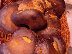 -石屏老字号4号包浆豆腐美食城(泼水广场店)