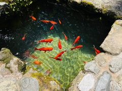 -寂照庵