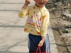 -喜杨洋草莓采摘园