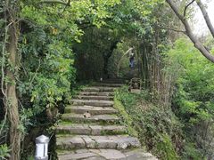 -江心屿景区