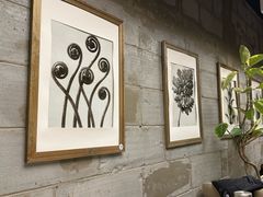 -Wood Garden(合生汇店)