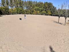 -东郊湿地公园