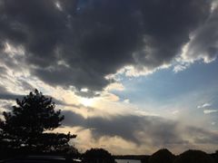 -丁香湖公园