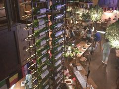 -胡桃里乐队酒馆(鎏嘉码头店)