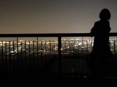 -紫金山山顶公园