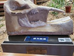 -中国第四纪冰川遗迹陈列馆