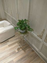 -星豆豆儿童摄影(南郊太白南路店)