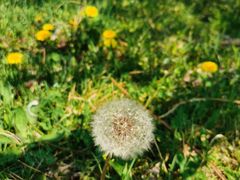 -黑龙江省森林植物园