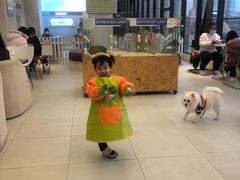 -怪兽屋·羊驼·猫咖·狗咖(俊华广场店)