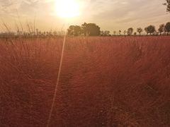 -汉长安城未央宫国家考古遗址公园