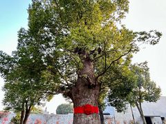 -养云安缦吧THE BAR