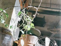 -几荷·恰似故人来(秀水广场店)
