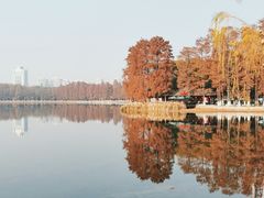 -东湖生态旅游风景区