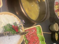 -季季山•云南野生菌火锅(上海首店)