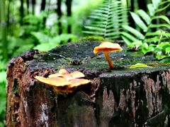 -成都杜甫草堂博物馆
