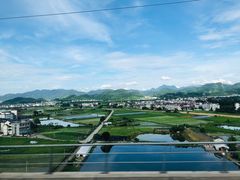 -温州美美君亭酒店四季花园餐厅(五马九山湖店)