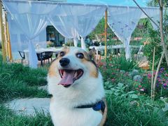 -叁山与肆客服号民宿(龙泉阳光城百工堰公园店)