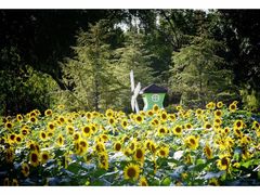 -廊坊文化艺术中心