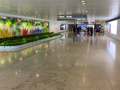 -杭州萧山国际机场