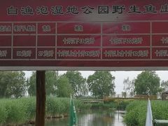 -白渔泡湿地公园