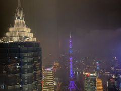 -上海柏悦酒店
