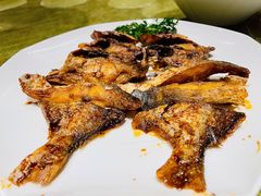 -小南国(金沙江路店)