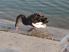-上海交通大学闵行校区-包玉刚图书馆