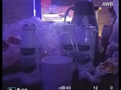 -纯歌派对量贩式KTV(四季城店)