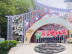 -西溪国家湿地公园