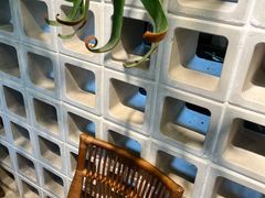 -自由生长植物工作室(深港花卉中心店)