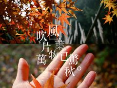 -黄公望隐居地