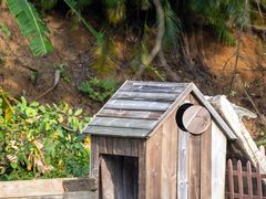 -广东惠东海龟国家级自然保护区