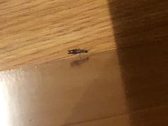 -三千里韩式炭火烤肉(南八马路店)