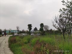 -空港花田景区