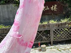 -蝴蝶泉公园