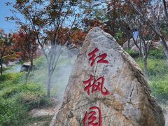 -广州市帽峰山景区
