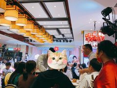 大堂-阿庄新豫菜(航海东路店)