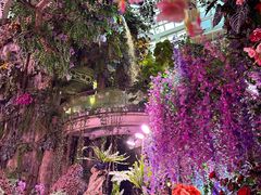 -正佳雨林生态植物园