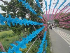 -苏州太湖西山岛开心农场