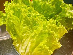 -九田家黑牛烤肉料理(太阳城店)