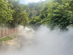 -广州白江湖森林公园