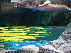 -上海海洋水族馆